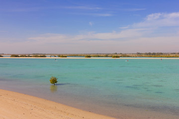 Sea beach in Abu Dhabi, UAE, Sir Bani Yas island, United Arab Emirates.