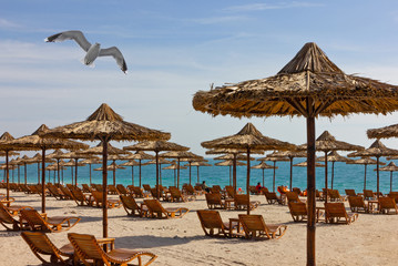 Abu Dhabi, UAE, sea beach, Sir Bani Yas island