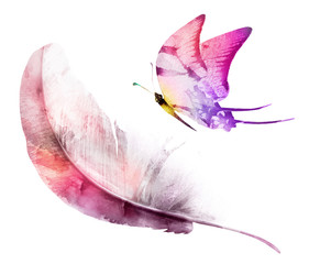 Watercolor feather with butterfly
