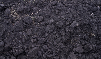 black land of a farm field