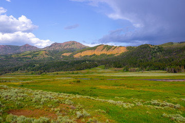 Fototapeta na wymiar Grassland landscape Wyoming in Yellowstone National Park. Hill, hiking