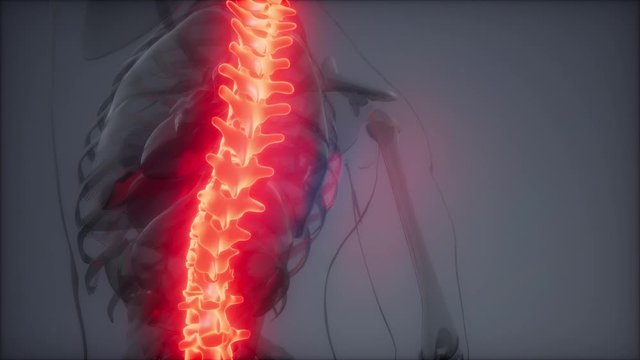 backache in backbone. science anatomy scan of human spine bones glowing