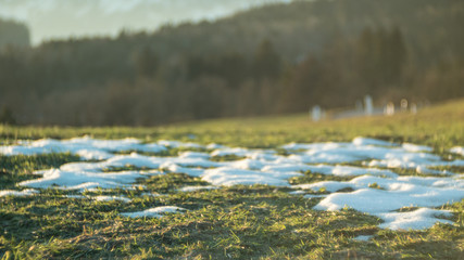 Fototapeta premium Schemlzender Schnee auf der Wiese