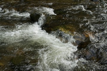 Wild White Water