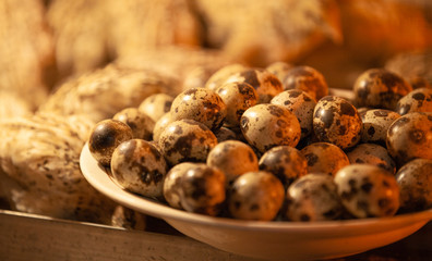 Quail eggs in a beautiful plate are inside the cage.