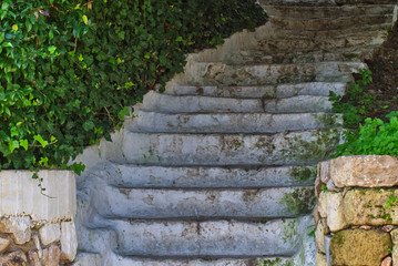Old white steps detail surrounded by green leaves plants, Anafiotika area in Plaka, Athens, Greece.