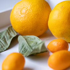 Classic shot of citrus fruits in the kitchen on white background © Paula
