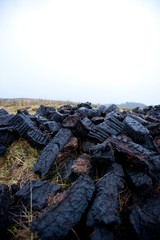Close-up view of peat cuttings