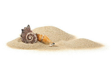 Seashells in sand pile isolated on a white background