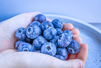 A handful of fresh blueberries in the hands of a child on a concrete background. Top view.