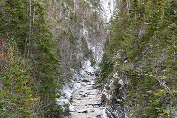 A high and narrow gorge at winter with tall trees covered in snow. 