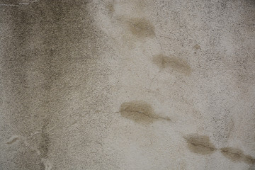 Beautiful vintage background. Abstract grunge decorative stucco wall texture.