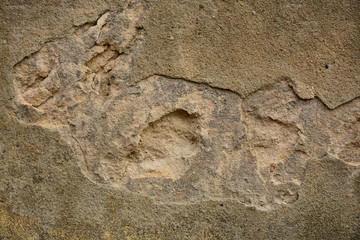 Beautiful vintage background. Abstract grunge decorative stucco wall texture.