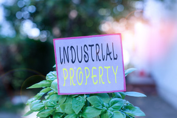 Conceptual hand writing showing Industrial Property. Concept meaning the intangible ownership of a trademark or patent Plain paper attached to stick and placed in the grassy land