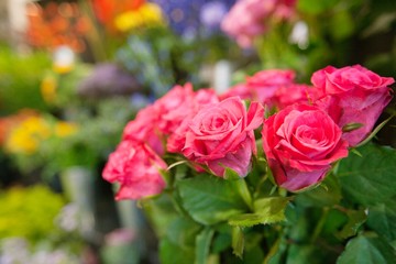 Bunch of fresh roses at flower shop