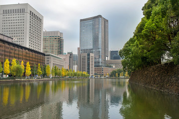 Fototapeta na wymiar Cityscape of Tokyo, Japan