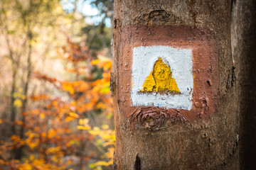 Touristic sign or mark on tree next to touristic path with nice autumn scene in background. Forrest trail.