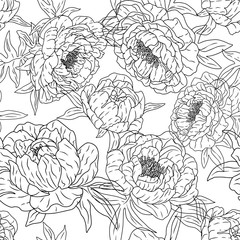 Hand drawn vintage vector seamless pattern. Gentle contour peonies. Monochrome floral botanical background. Surface design wrap, paper, textile, postcard, scrapbooking, prints, fabric etc Sketch style