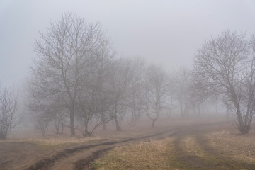 Obraz na płótnie Canvas Dark foggy autumn countriside view in morning