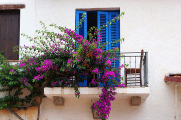 Balcony with blue sun blinds and pink flowers.