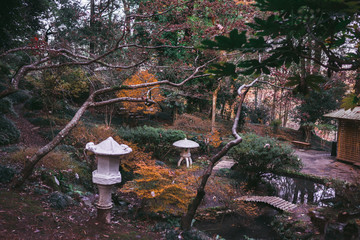 Japanese garden by Japanese tradition in the forest. Landscaped landscape with trees by the bridge and stream