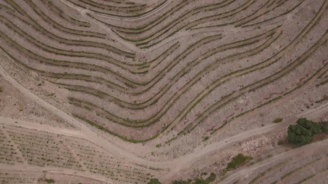 Douro from above