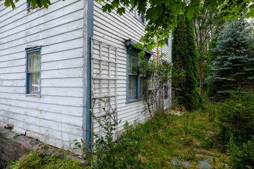 The corner view of an old white wooden exterior of a house with windows. There are rose bushes, greenery and trees in the garden of the property.