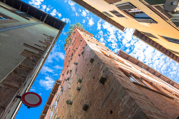 Torre Guinigi is one of the few remaining towers within the city walls of Lucca, Italy. - 310291346