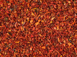 Texture of crushed red dry paprika. Seasoning for cooking. Red background.   