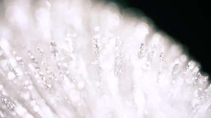 Silver tinsel glitter texture surface on black background. 4k close up macro of glittering material. Holiday abstract backdrop.