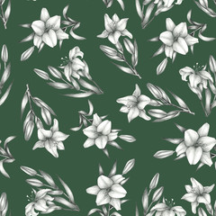 Pattern with pancil drawn lily on green background. Seamless background with flowers. Botanical pattern. Perfect for fabric, textile. 