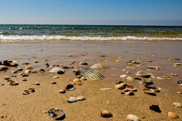 footprints on the beach