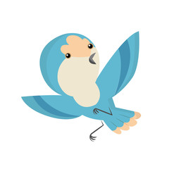 Cute little colorful bird isolated on white background. Common house sparrow. Small bird in cute cartoon style. Isolated vector clip art illustration. Bird superb fairy wren vector Illustration