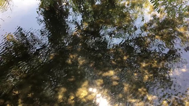 Water