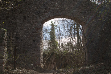 an old castle ruin in the woods