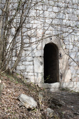 an old castle ruin in the woods