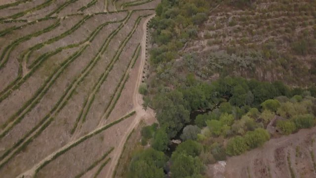 Douro from above