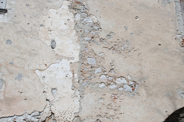 an old castle ruin in the woods