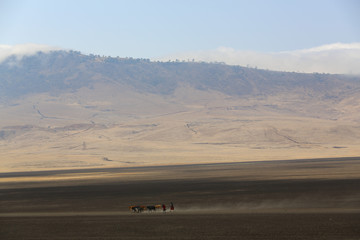 Maasai Marra