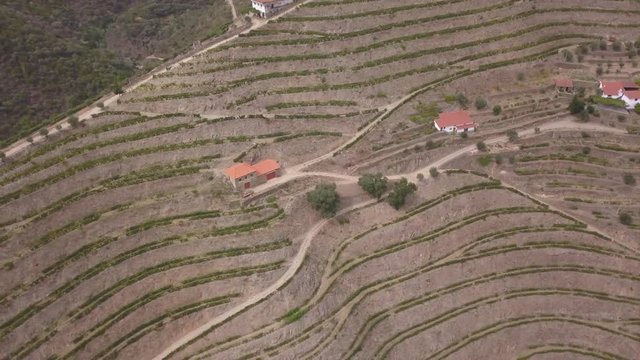 Douro from above