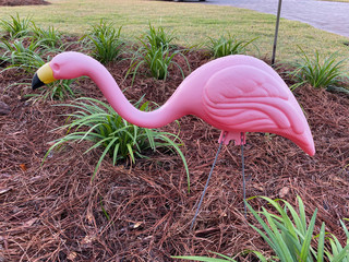 A pink flamingo yard ornament staked in a garden in front of a house. © Joni