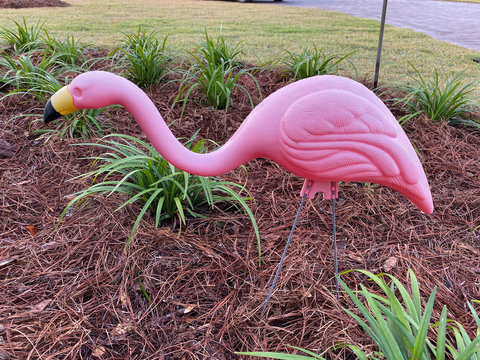 A pink flamingo yard ornament staked in a garden in front of a house.