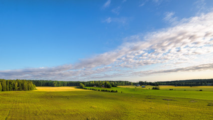 Finland pastoral countryside landscape with green-yellow cereals fields and barns surrounded by forest.