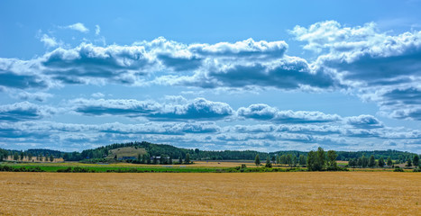 Fototapeta premium Finland pastoral countryside landscape panorama with green-yellow cereals field and barn surrounded by forest.