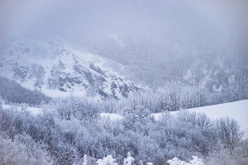 snow covered mountains