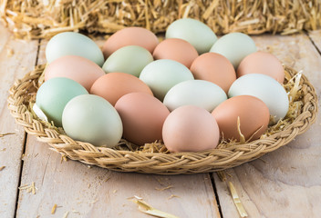 Organic farm blue and brown eggs.
