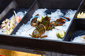 lobster at the counter of the street food festival