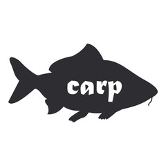 Black silhouette vector fish drawing of carp. Carp isolated on white background