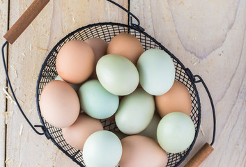 Organic farm blue and brown eggs.