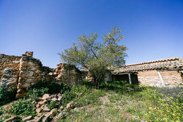 Fototapeta na wymiar Landscape of the Montes de Toledo.